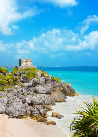 Felsige Bucht bei Tulum mit weißem Sand, Palmen und klarem Karibikmeer