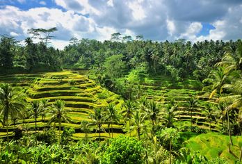 Indonesien