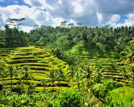 Inselträume zwischen Vulkanen und Tempeln-0