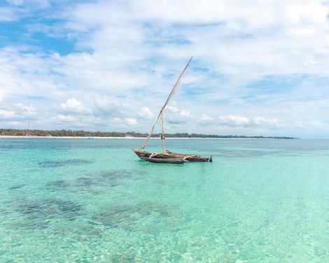 Von der Savanne zum Ozean