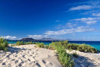 Dünen auf Fuerteventura