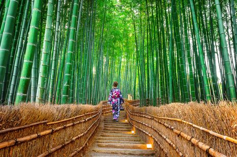 Frau in traditioneller asiatischer Kleidung geht durch dichten Bambuswald über einen Holzsteg