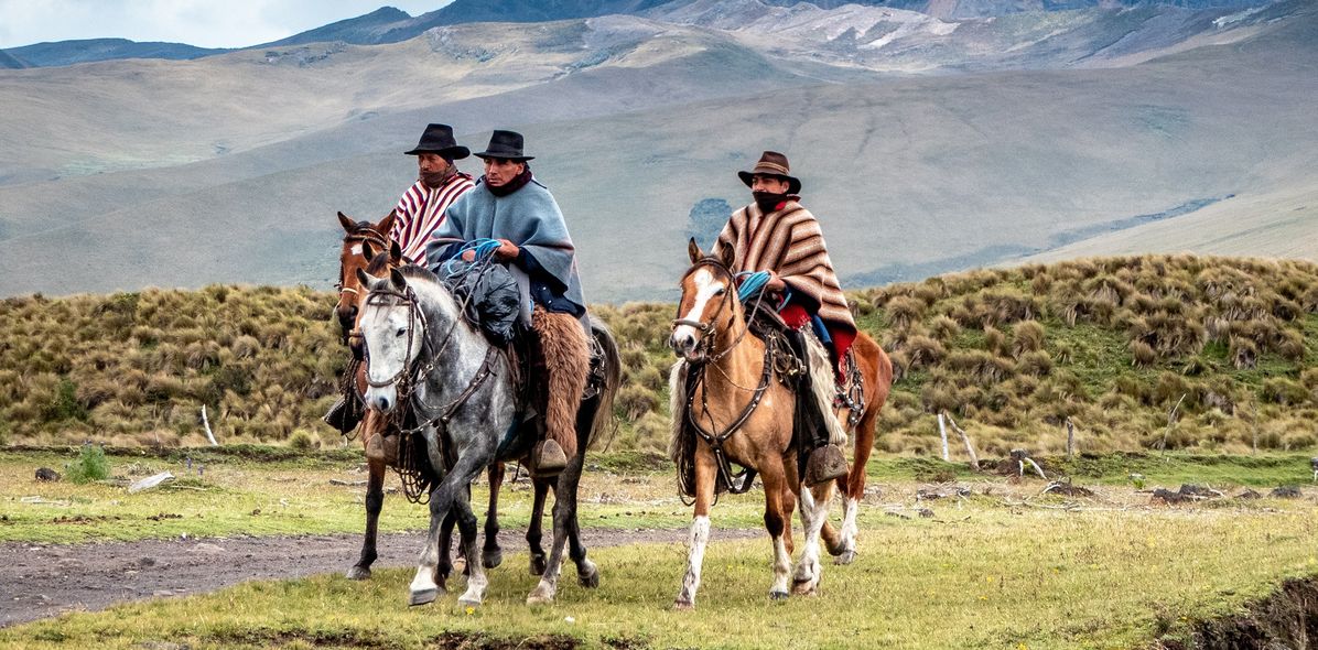 Reiter auf Pferden in Ecuador