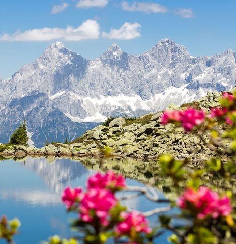 Blick auf schneebedeckte Berge