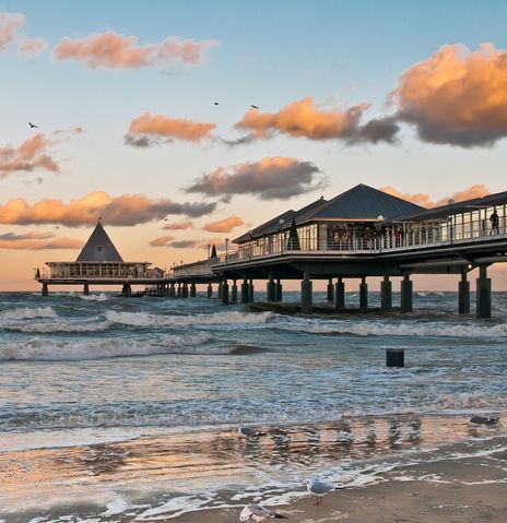 Seebrücke von Usedom