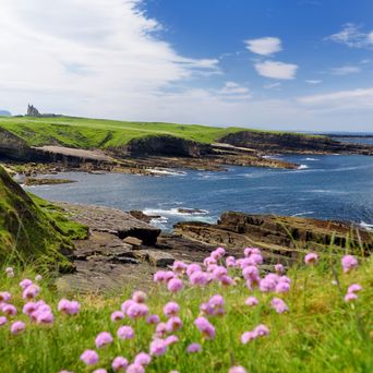 Landschaft von Sligo