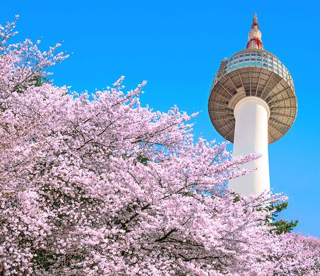 Namsan-Seoul Tower