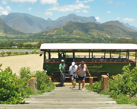 Auf Safari durch drei Länder bis Kapstadt im 3-Sterne-Hotel-1