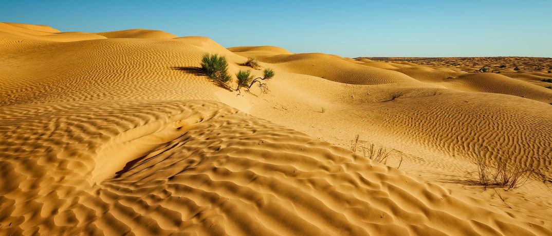 Weiter Blick auf die Sahara Wüste in der Nähe des Grand Erg Oriental in Tunesien