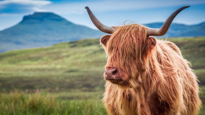 Großbritannien - Schottland