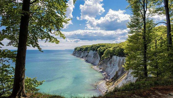 Kreidefelsen auf Rügen