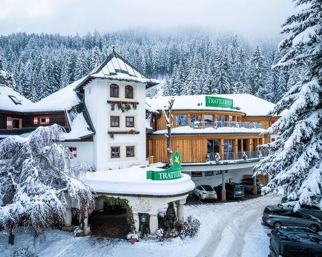Hotel Trattlerhof-0