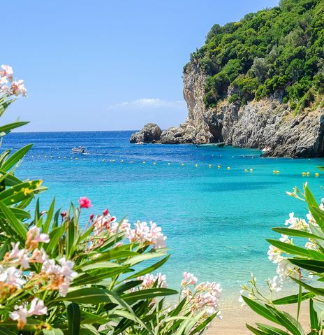 Strand und Blumen auf Korfu