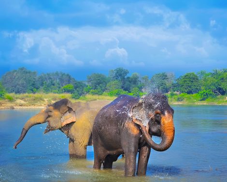 Abenteuer zwischen Bergpfaden und Dschungelpfaden-1