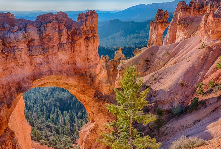 Blick auf die Felsformationen des Bryce Canyon Nationalparks
