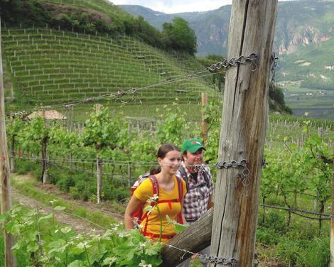 Wanderreise Wein- und Almenweg in Südtirol-0