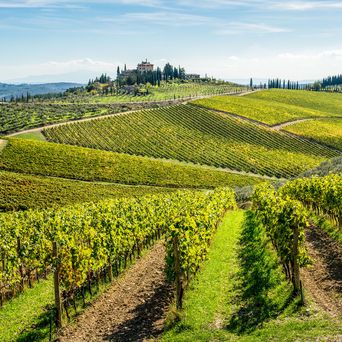 Weinregion Chianti in der Toskana