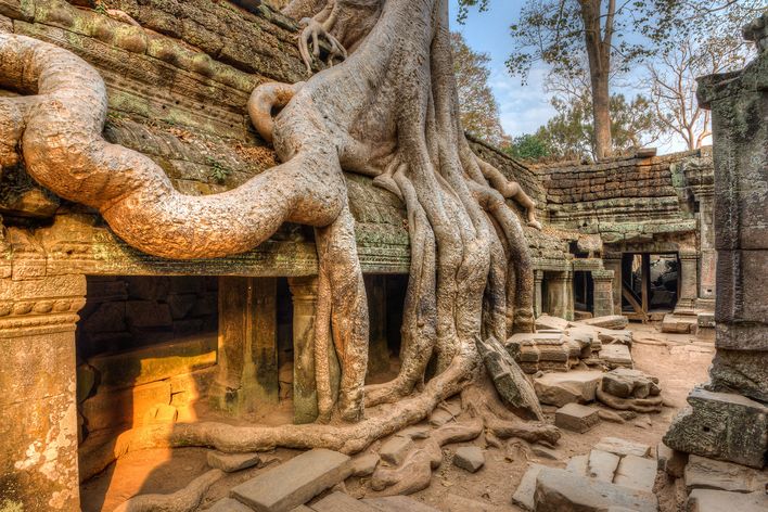 Blick auf einen Tempel der Verwachsen ist in Kambodscha
