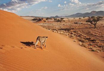 Namibia, Botswana & Simbabwe