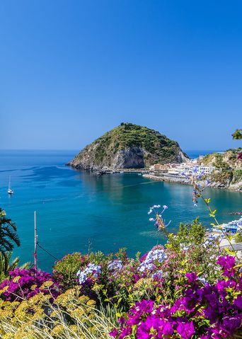 Blick auf die Küste von Ischia, umgeben von Blumen