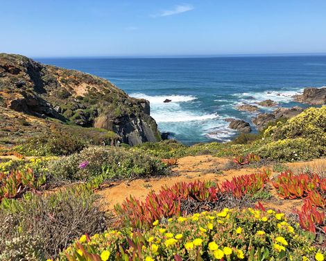 Radeln entlang der Küste zwischen Klippen und Stränden-3