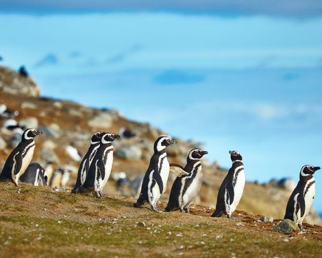Kreuzfahrt mit Oosterdam ab Buenos Aires an Santiago de Chile-1
