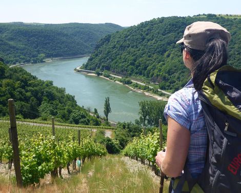 Wanderurlaub von Rüdesheim bis Kamp-Bornhofen-0