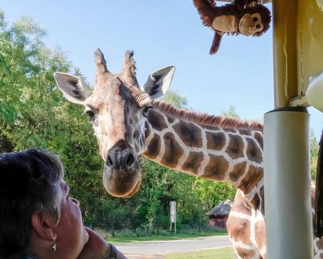 Familienerlebnis im Serengeti-Park-0