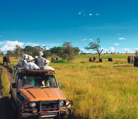 Safari im Serengeti Nationalpark