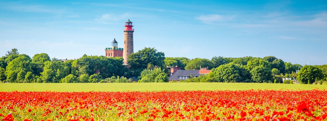 Mohnblumen und Leuchtturm auf der Insel Rügen