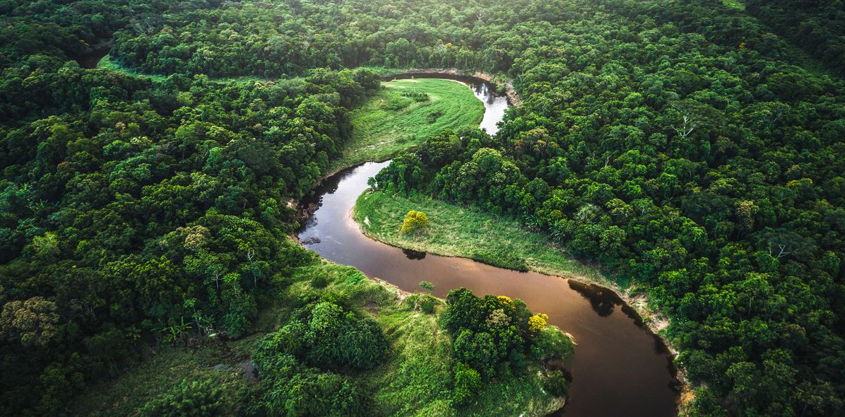 Blick auf den Amazonas-Regenwald mit gewundenem Flusslauf aus der Luft aufgenommen
