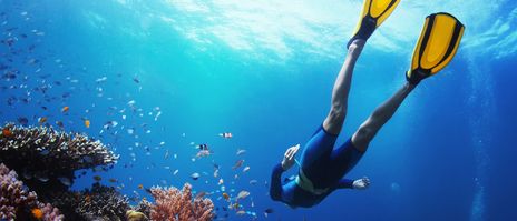 Taucherin schwimmt zwischen bunten Korallenriffen im klaren blauen Meer