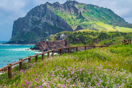 Vulkaninsel Jeju