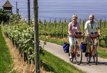 Bodensee-Radweg