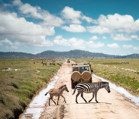 Geländewagen und Zebras bei Safari in Tansania