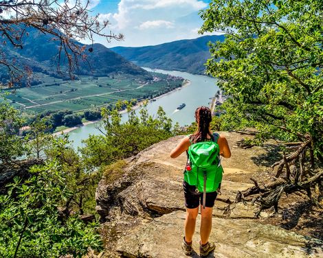 Panoramablicke und Donau-Romantik-0