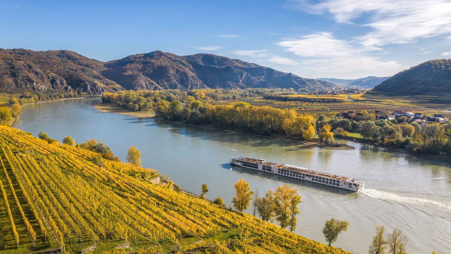 Flusskreuzfahrtschiff fährt entlang der Donau in Österreich mit Weinbergen am Ufer