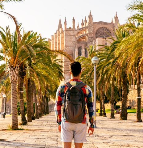 Mann mit einem Rucksack steht in einer Palmenallee mit dem Blick auf die Kathedrale von Palma de Mallorca gerichtet