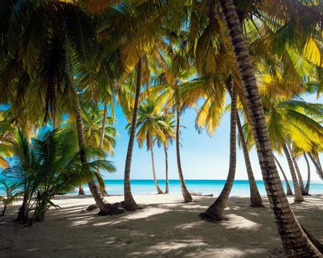 Vom grünen Inselherz bis zu entspannten Tagen am Karibikstrand-0