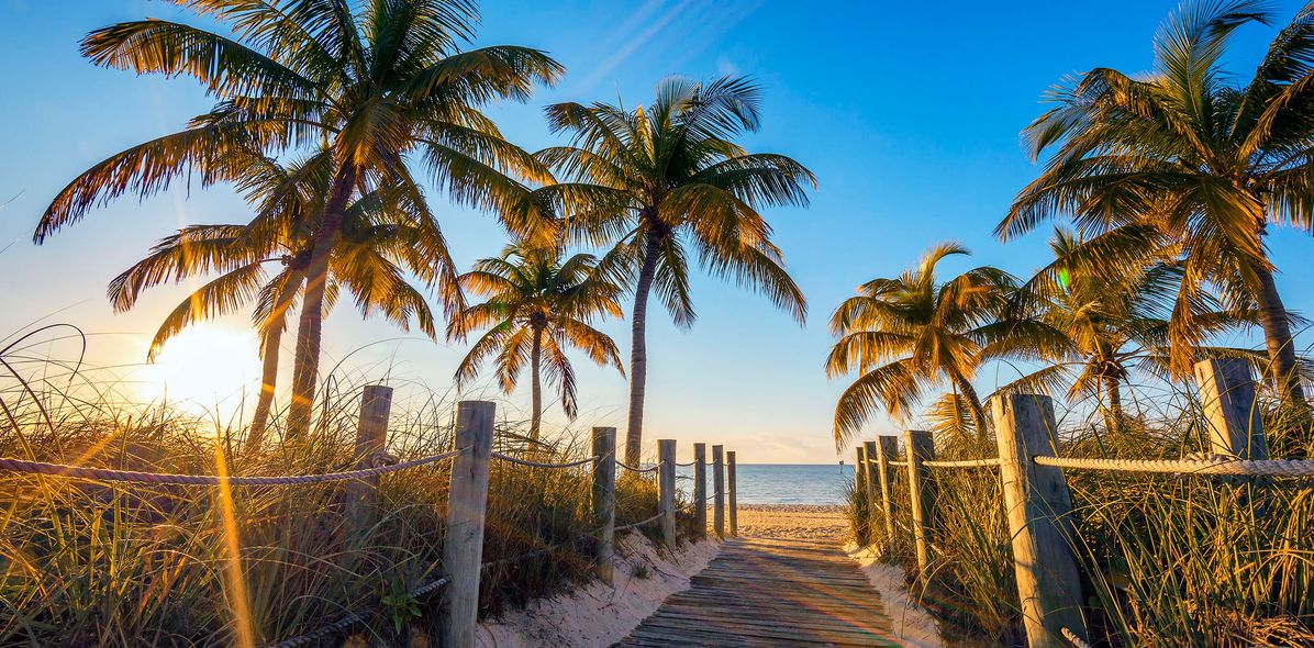 Palmen am Strand von Key West