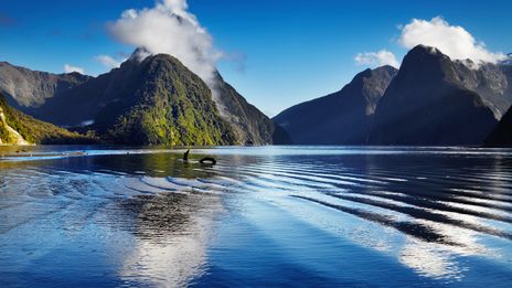 Milford Sound in Neuseeland
