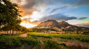 Stellenbosch in Südafrika