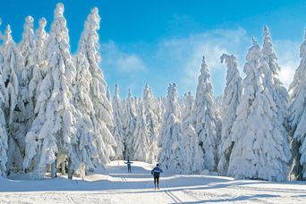 Winterlandschaft 