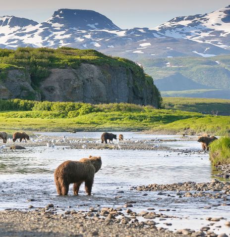 Alaska Johns-Hopkins-Gletscher