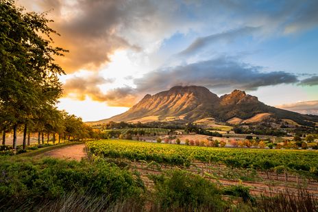 Landschaft von Stellenbosch