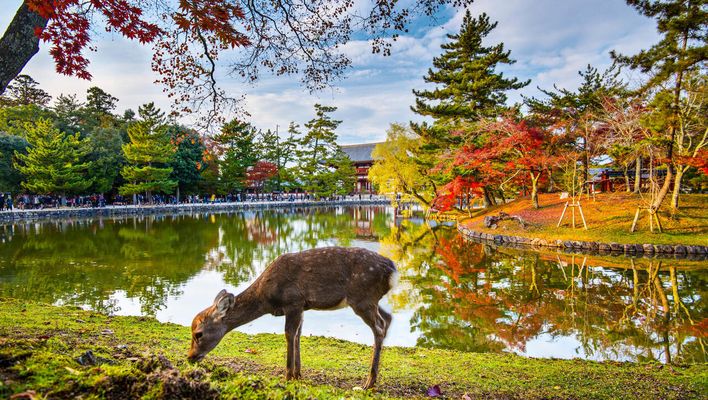 Japan