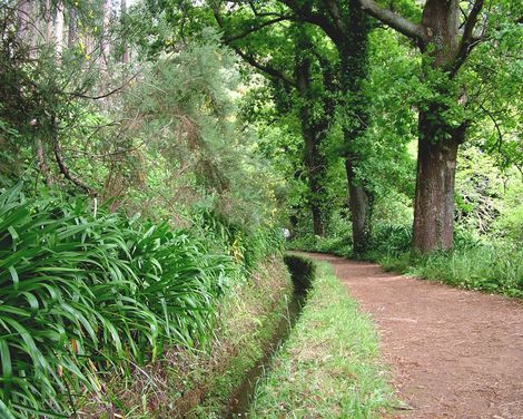 Wandern mit Leichtigkeit – entdecken, genießen, zurückkehren-3