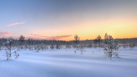 Winterlandschaft in Finnland