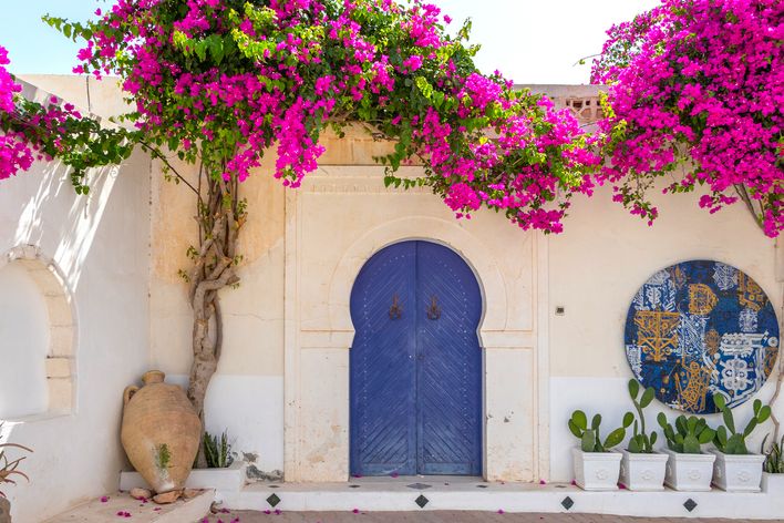 Traditionelle blaue Tür in der weißen Häuserfassade und rosa Blumen in Hara Sghira Er Riadh in Djerbahood, Tunesien