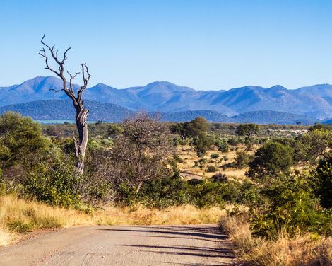 Kreuzfahrt von Venedig bis Durban inkl. Südafrika-Rundreise-0
